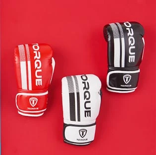 Punching Mitts Punching Mitts